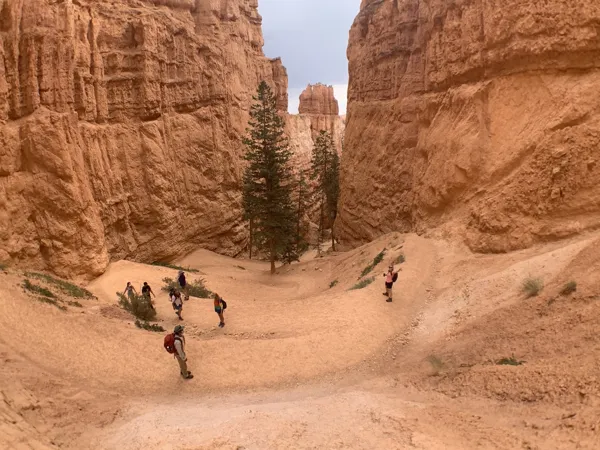 Bryce Canyon National Park photo 11