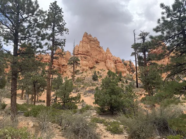 Bryce Canyon National Park photo 12