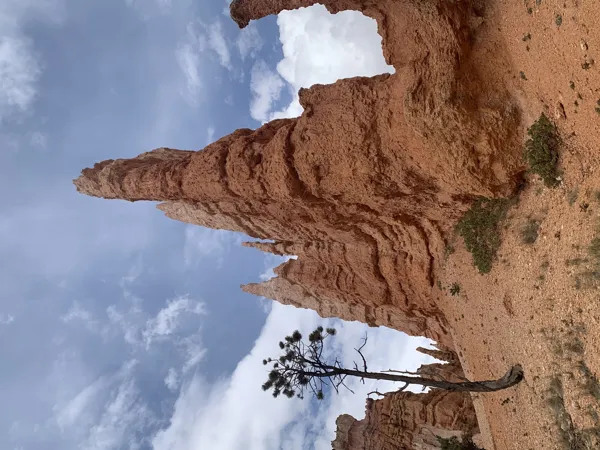 Bryce Canyon National Park photo 13