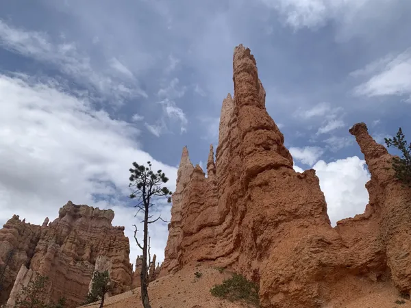 Bryce Canyon National Park photo 14