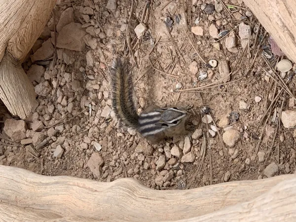 Bryce Canyon National Park photo 17