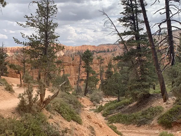 Bryce Canyon National Park photo 18