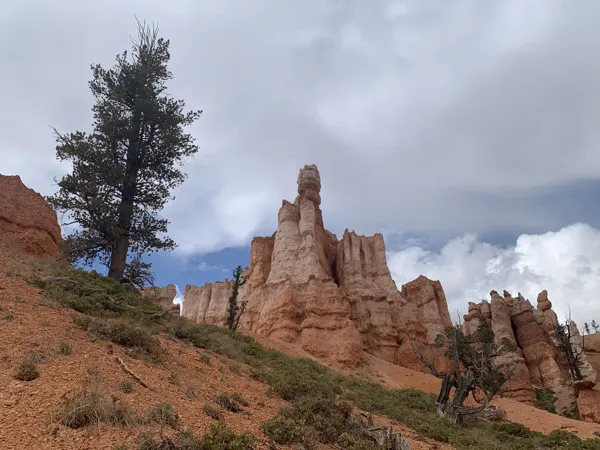 Bryce Canyon National Park photo 20