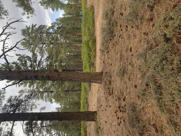 Bryce Canyon National Park photo 34