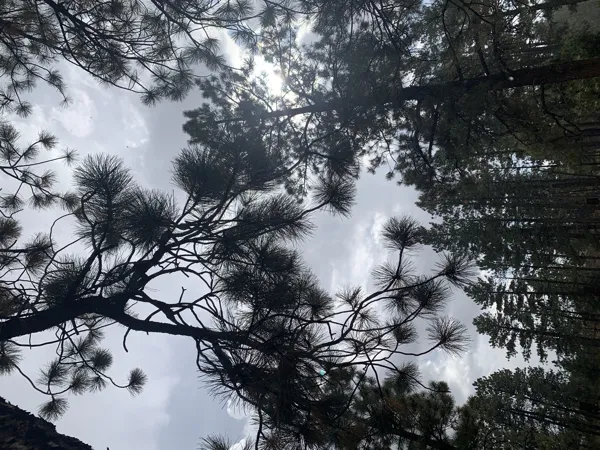 Bryce Canyon National Park photo 35