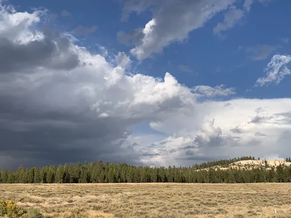 Bryce Canyon National Park photo 41