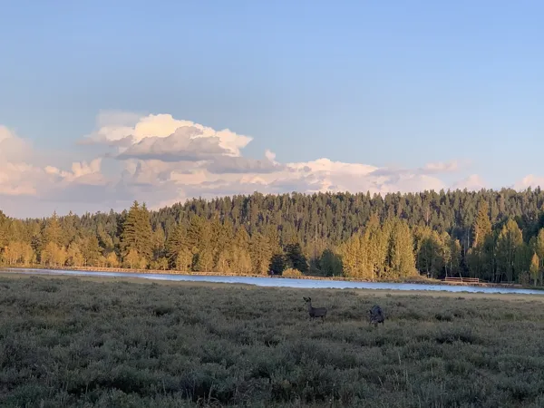 Bryce Canyon National Park photo 43