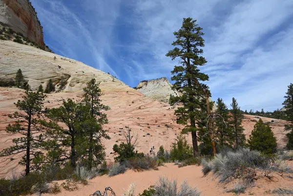 Zion National Park photo 3