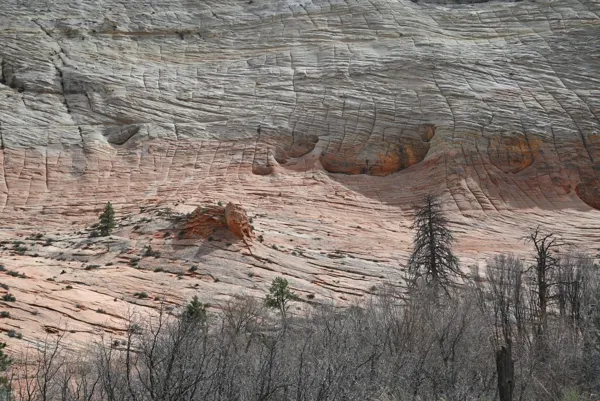 Zion National Park photo 4