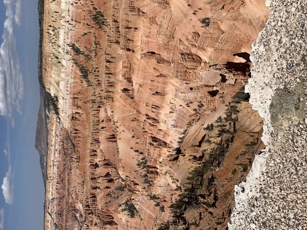 Zion National Park photo 10