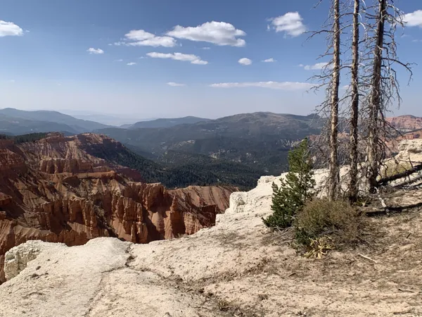 Zion National Park photo 13