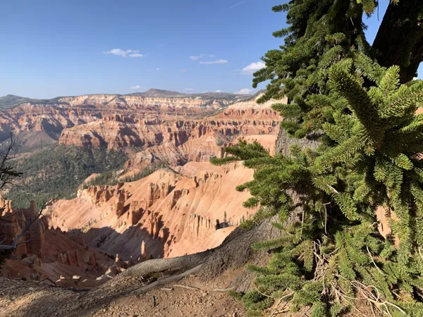 Zion National Park photo 27