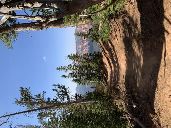 Zion National Park photo 28