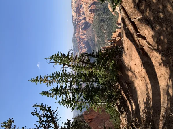 Zion National Park photo 29