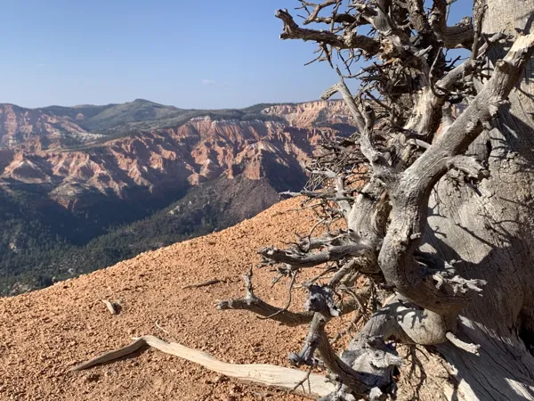 Zion National Park photo 33