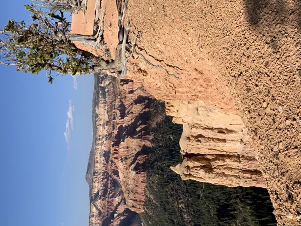 Zion National Park photo 34