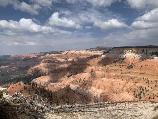 Zion National Park photo 46