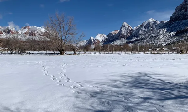 Zion National Park photo 68