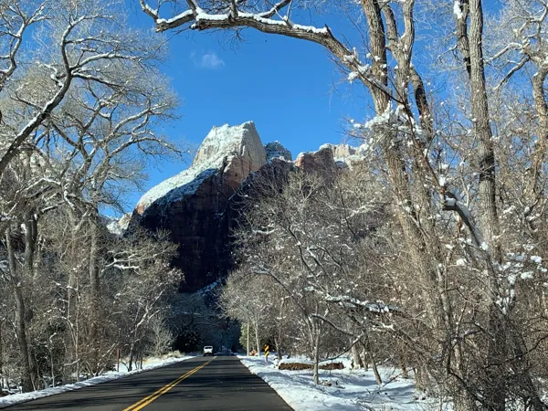 Zion National Park photo 71