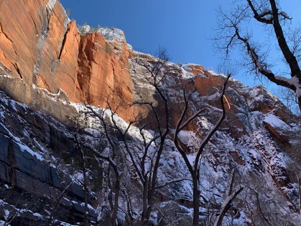 Zion National Park photo 73