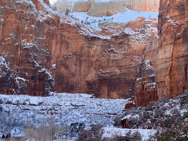 Zion National Park photo 79