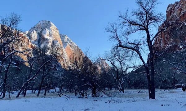 Zion National Park photo 82