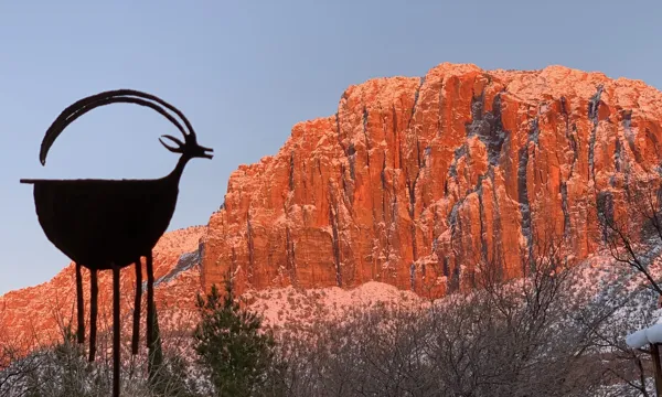 Zion National Park photo 85