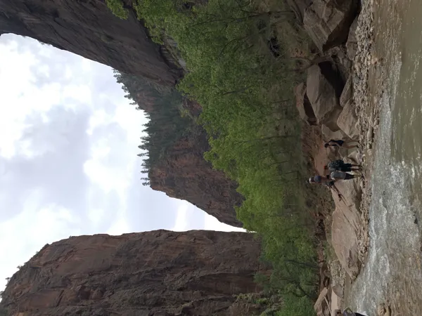 Zion National Park photo 93