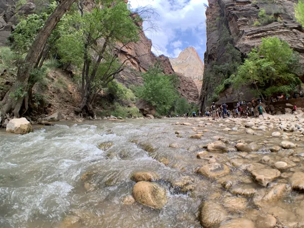 Zion National Park photo 95