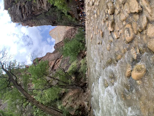 Zion National Park photo 96