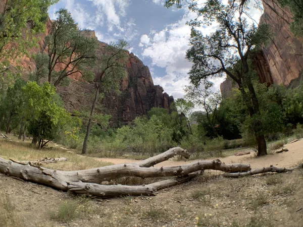 Zion National Park photo 97