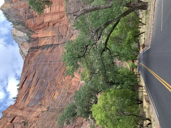 Zion National Park photo 99