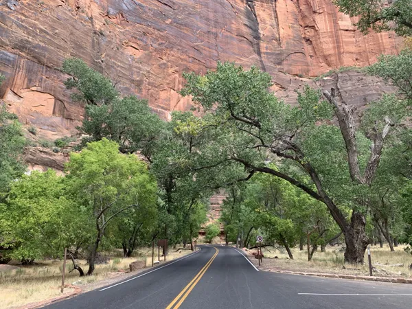 Zion National Park photo 100