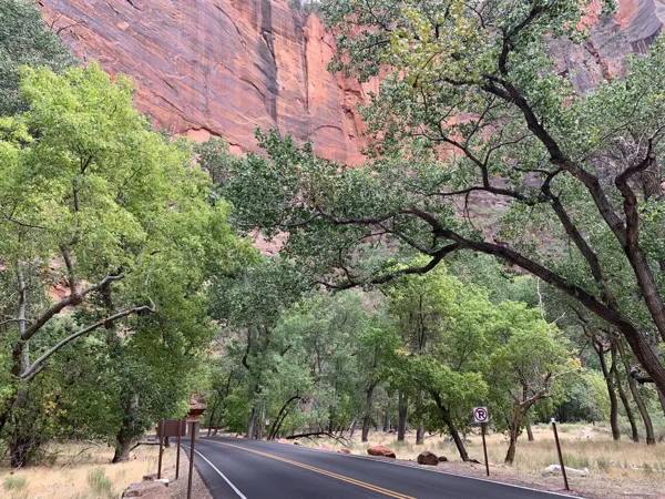 Zion National Park photo 101