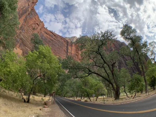Zion National Park photo 102