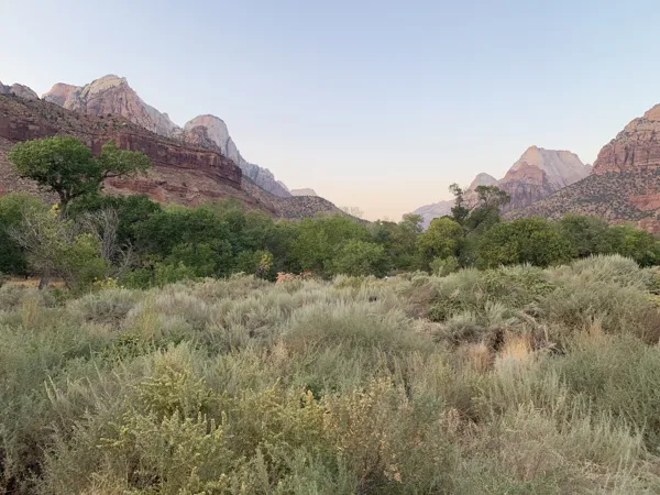 Zion National Park photo 103