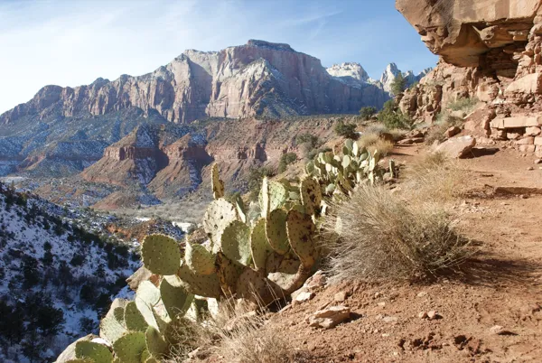 Zion National Park photo 123