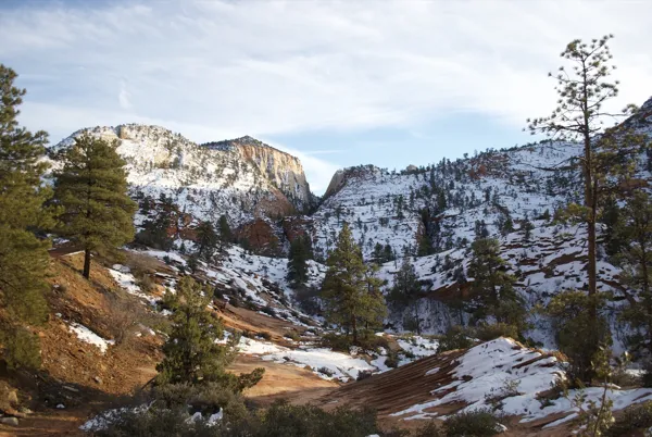 Zion National Park photo 129