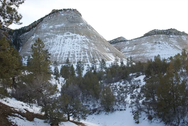 Zion National Park photo 131