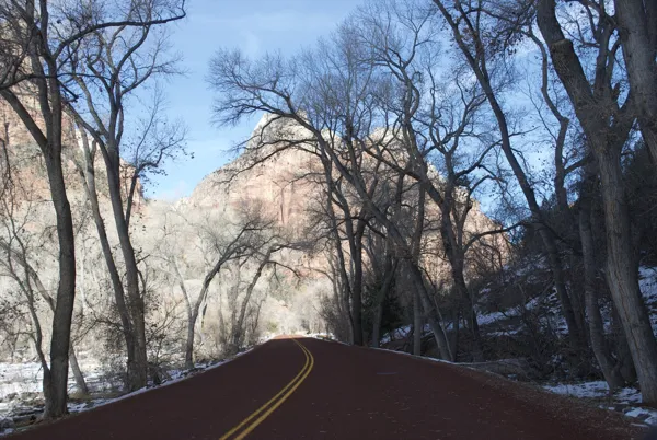 Zion National Park photo 132