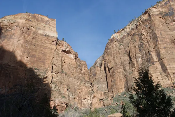 Zion National Park photo 133