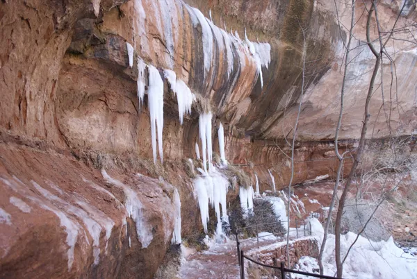 Zion National Park photo 135