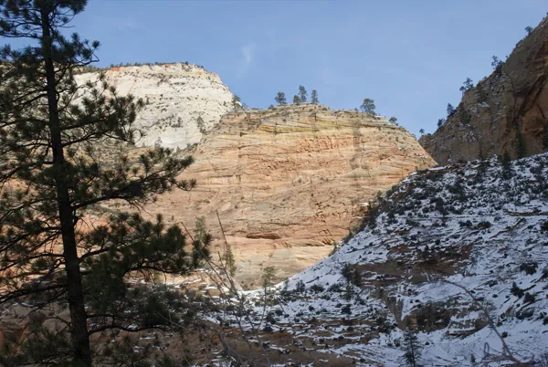 Zion National Park photo 139