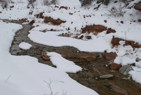 Zion National Park photo 145