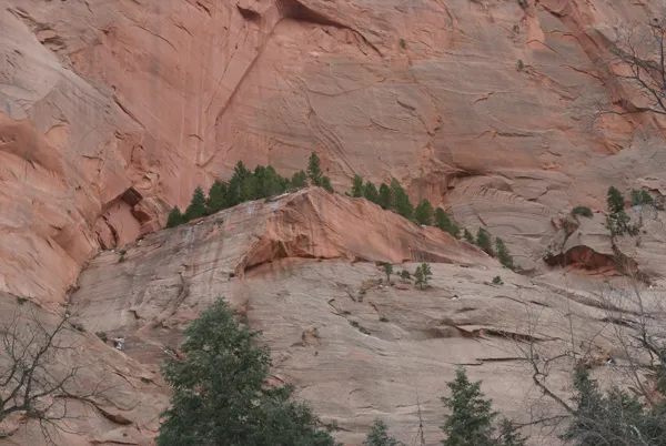 Zion National Park photo 147