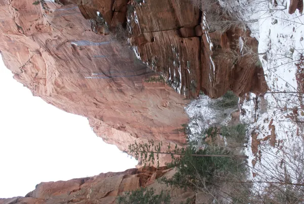 Zion National Park photo 148