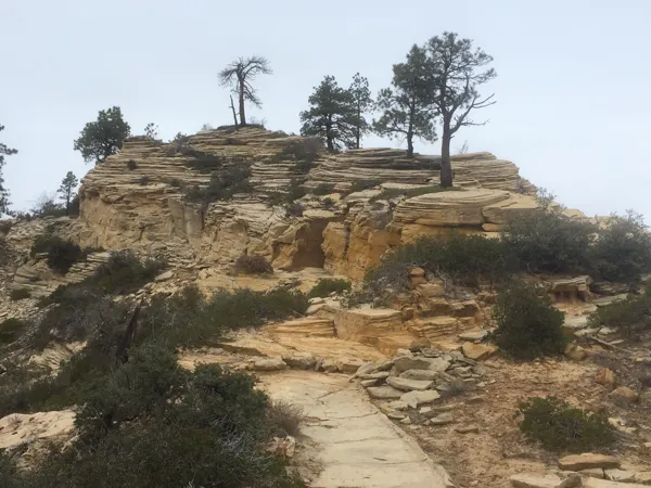 Zion National Park photo 152