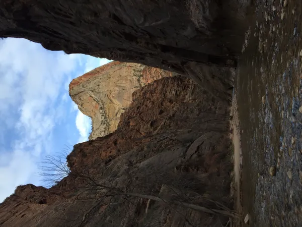 Zion National Park photo 157