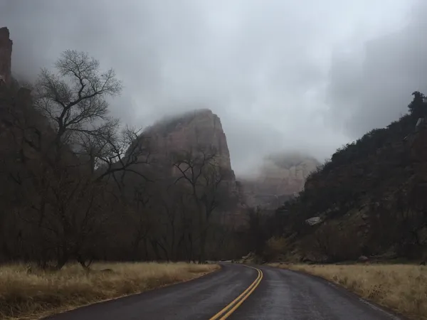 Zion National Park photo 158
