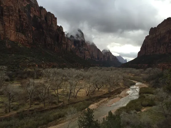 Zion National Park photo 159